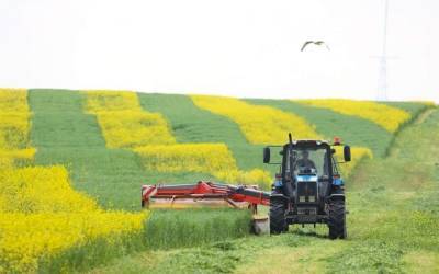 В хозяйствах области в этом году планируют заготовить 1637 тысяч тонн травяных кормов - grodnonews.by