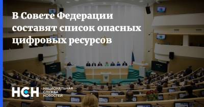 Андрей Климов - В Совете Федерации составят список опасных цифровых ресурсов - nsn.fm