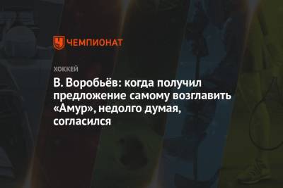 Владимир Воробьев - В. Воробьёв: когда получил предложение самому возглавить «Амур», недолго думая, согласился - championat.com