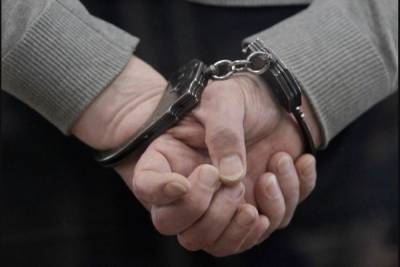 Алексей Петров - На Украине задержали воевавшего за ВСУ преступника из России - mk.ru - Донецк - Житомир