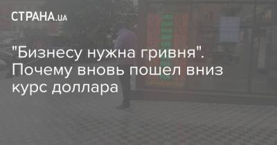 "Бизнесу нужна гривня". Почему вновь пошел вниз курс доллара - strana.ua