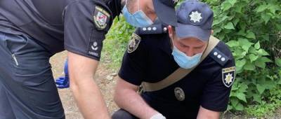 В Северодонецке в результате взрыва сигнального патрона пострадала девочка - w-n.com.ua - Луганская обл. - Северодонецк