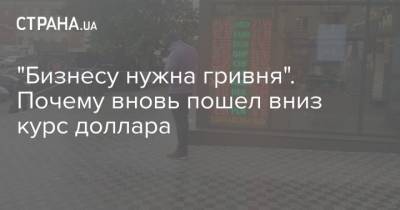 “Бизнесу нужна гривня”. Почему вновь пошел вниз курс доллара - cryptos.tv