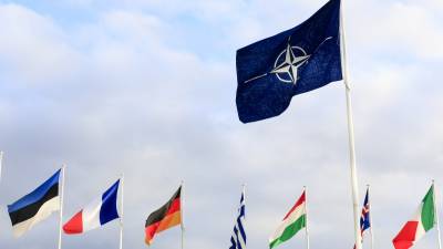 В Эстонии солдаты НАТО устроили пьяный дебош и поколотили трех женщин - polit.info - Эстония