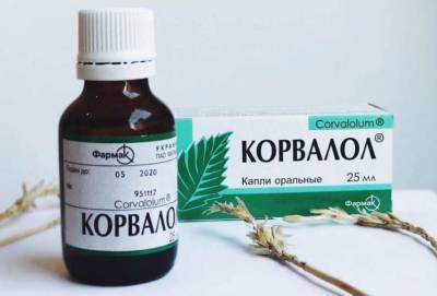 Украинские туристы могут поплатиться свободой за корвалол в аптечке - lenta.ua