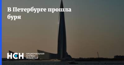 В Петербурге прошла буря - nsn.fm - Санкт-Петербург