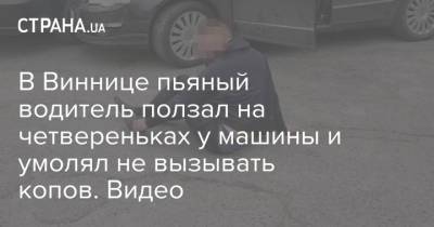 В Виннице пьяный водитель ползал на четвереньках у машины и умолял не вызывать копов. Видео - strana.ua - Винницкая обл.