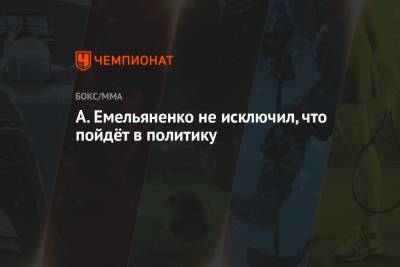 Николай Валуев - Александр Емельяненко - А. Емельяненко не исключил, что пойдёт в политику - championat.com