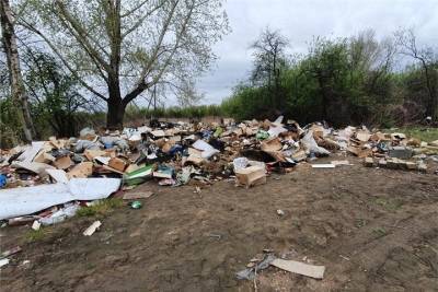 Свалку с трупами собак в Березовке Красноярского края проверяет прокуратура - kras.mk.ru - Красноярский край - Красноярск