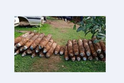 Мужчина нашел в своем дворе 101 неразорвавшуюся бомбу времен Второй мировой войны - mk.ru - Австралия - Соломоновы Острова
