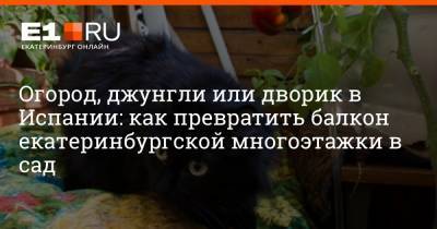 Артем Устюжанин - Огород, джунгли или дворик в Испании: как превратить балкон екатеринбургской многоэтажки в сад - e1.ru - Екатеринбург - Испания