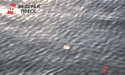 В карьере под Челябинском погиб еще один школьник: подключился СК - fedpress.ru - Челябинск - Красноярск - Копейск