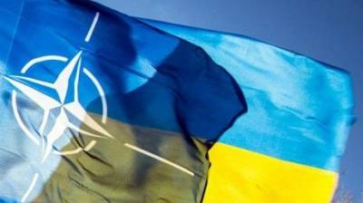 Руслан Хомчак - Стюарт Пич - В НАТО сделали заявление по поддержке Украины - enovosty.com - Брюссель