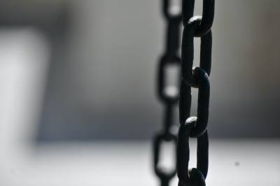 Следователи заинтересовались информацией о жестоком рабстве на калмыцкой ферме - news.vse42.ru - респ. Калмыкия - Ставрополье