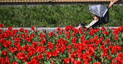 Москвичам перечислили самые «цветущие» парки для красивых фото - moslenta.ru - Москва - усадьба Воронцово