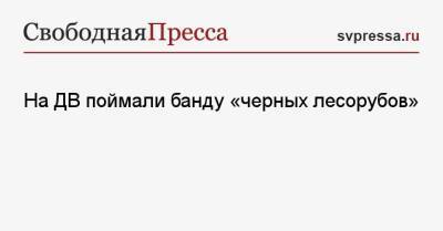 На ДВ поймали банду «черных лесорубов» - svpressa.ru - Иркутская обл.