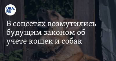 Владимир Бурматов - В соцсетях возмутились будущим законом об учете кошек и собак. «С жиру мракобесием занимаются» - ura.news
