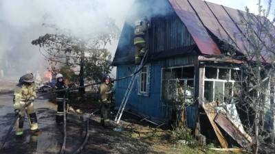 УМВД: к пожару, в котором сгорело 12 домов, могут быть причастны дети 4-6 лет - newdaynews.ru - Екатеринбург