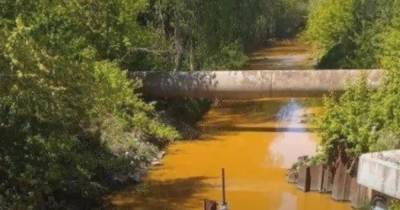 КГГА: в Киеве река Лыбидь стала ярко-желтой из-за ядовитых стоков (видео) - focus.ua - Киев