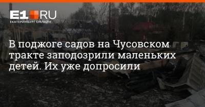 В поджоге садов на Чусовском тракте заподозрили маленьких детей. Их уже допросили - e1.ru - Екатеринбург