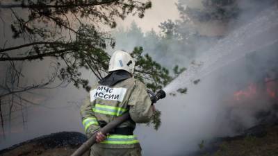 В Тюменской области заявили об увеличении количества природных пожаров - russian.rt.com - Тюмень - Тюменская обл.