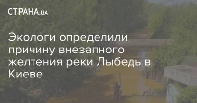 Экологи определили причину внезапного желтения реки Лыбедь в Киеве - strana.ua - Киев - Экология