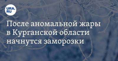 После аномальной жары в Курганской области начнутся заморозки - ura.news - Курганская обл.