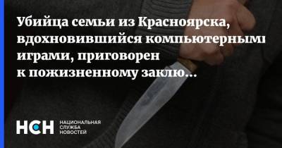 Убийца семьи из Красноярска, вдохновившийся компьютерными играми, приговорен к пожизненному заключению - nsn.fm - Красноярск