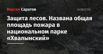 Защита лесов. Названа общая площадь пожара в национальном парке «Хвалынский» - nversia.ru - Саратовская обл.
