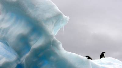Константин Салаев - Самый большой в мире айсберг откололся от Антарктиды и установил рекорд - nation-news.ru - Антарктида