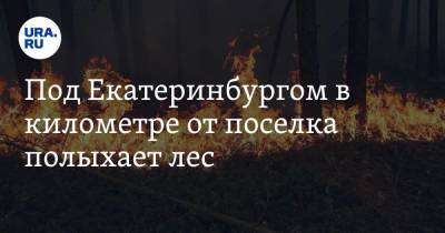 Под Екатеринбургом в километре от поселка полыхает лес. Видео - ura.news - Екатеринбург - Свердловская обл.
