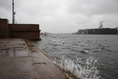 В Петербурге во время ночного шторма травмировались четыре человека - neva.today - Санкт-Петербург - р-н Приморский