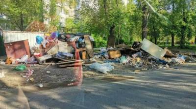 Жители Воронежа пожаловались на превратившую двор в «свинарник» мусорную площадку - vestivrn.ru - Воронеж - район Левобережный