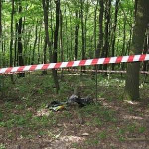 В Запорожской области в лесополосе нашли труп мужчины - reporter-ua.com - Запорожская обл.