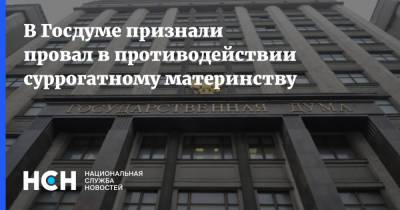 Николай Земцов - В Госдуме признали провал в противодействии суррогатному материнству - nsn.fm