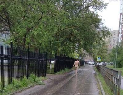 Голый мужчина гулял по улицам в Волгодонске - privet-rostov.ru - Волгодонск