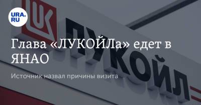 Вагит Алекперов - Глава «ЛУКОЙЛа» едет в ЯНАО. Источник назвал причины визита - ura.news - Салехард - окр. Янао
