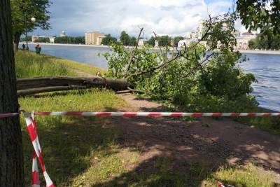 Перед грозой в Петербурге закрыли парки, а жителей попросили быть осторожными - abnews.ru - Санкт-Петербург - Казань - р-н Приморский