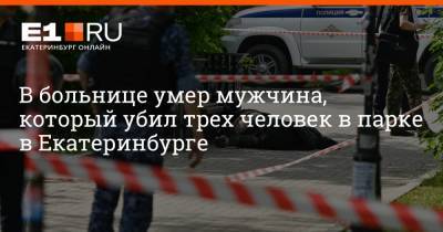 Артем Устюжанин - В больнице умер мужчина, который убил трех человек в парке в Екатеринбурге - e1.ru - Екатеринбург - Свердловская обл.