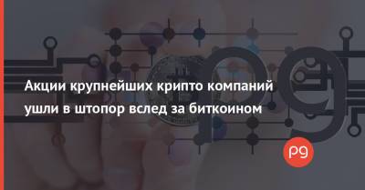 Илон Маск - Майк Новограц - Акции крупнейших крипто компаний ушли в штопор вслед за биткоином - thepage.ua