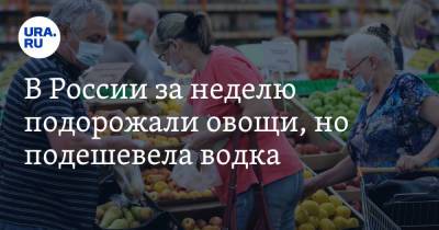 В России за неделю подорожали овощи, но подешевела водка - ura.news