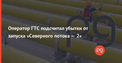 Сергей Макогон - Оператор ГТС подсчитал убытки от запуска «Северного потока — 2» - thepage.ua