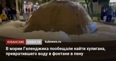 В мэрии Геленджика пообещали найти хулигана, превратившего воду в фонтане в пену - kubnews.ru - Краснодарский край - Геленджик