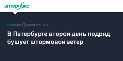 В Петербурге второй день подряд бушует штормовой ветер - interfax.ru - Москва - Санкт-Петербург - Петербург