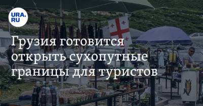 Натия Турнава - Грузия готовится открыть сухопутные границы для туристов - ura.news - Грузия