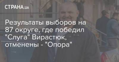 Василий Вирастюк - Результаты выборов на 87 округе, где победил "Слуга" Вирастюк, отменены - "Опора" - strana.ua