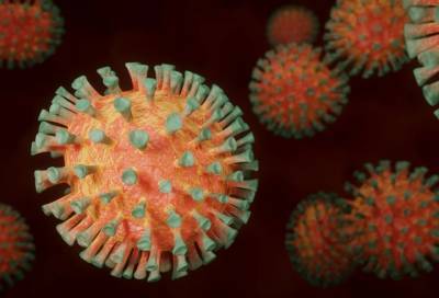 Медики перечислили пять основных последствий коронавируса - online47.ru
