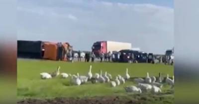 В Ставропольском крае шесть детей погибли в ДТП - readovka.news - Волгоград - респ. Карачаево-Черкесия - Ставрополье