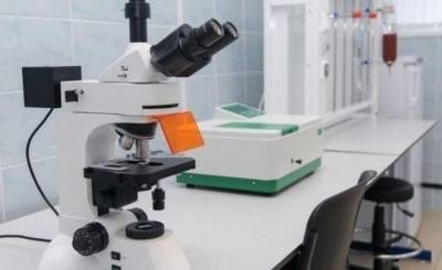 Искусственный интеллект научили оценивать риск смерти от COVID-19 - realnoevremya.ru