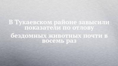 В Тукаевском районе завысили показатели по отлову бездомных животных почти в восемь раз - chelny-izvest.ru - район Тукаевский